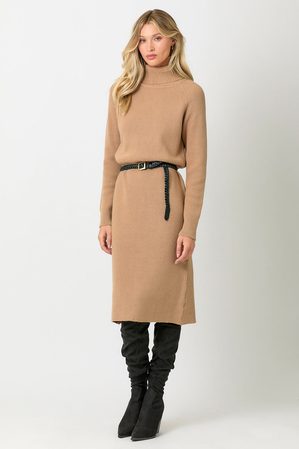 Carla Turtleneck Sweater Dress