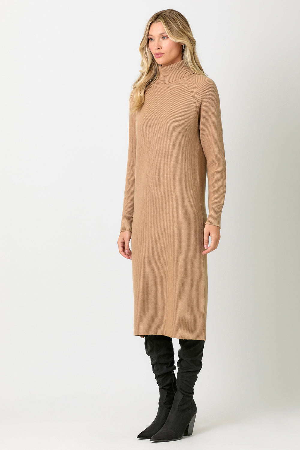 Carla Turtleneck Sweater Dress