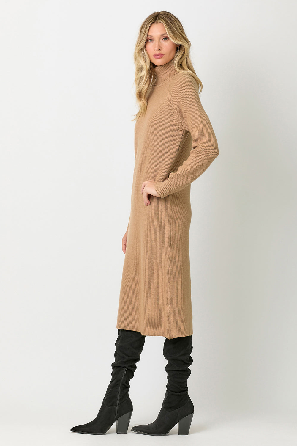 Carla Turtleneck Sweater Dress