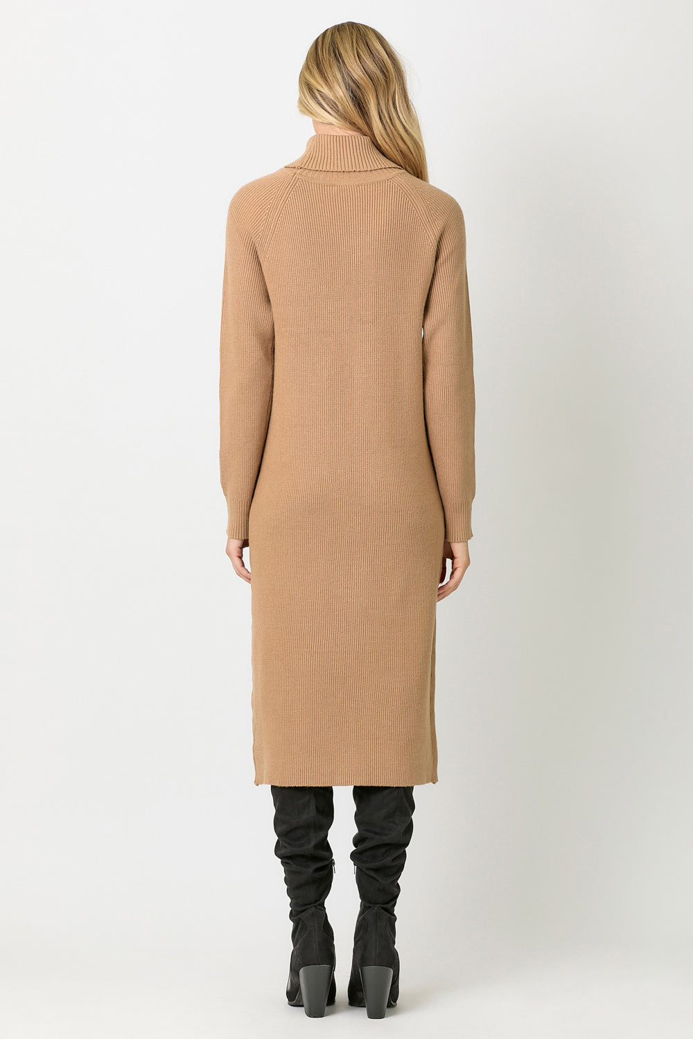 Carla Turtleneck Sweater Dress