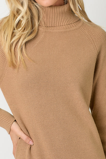 Carla Turtleneck Sweater Dress