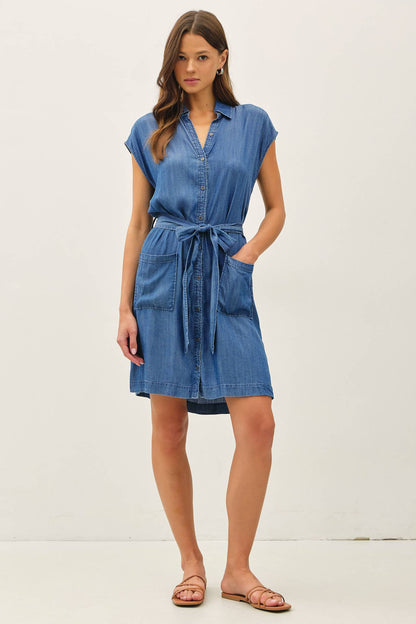 Paige Denim Button Up Dress
