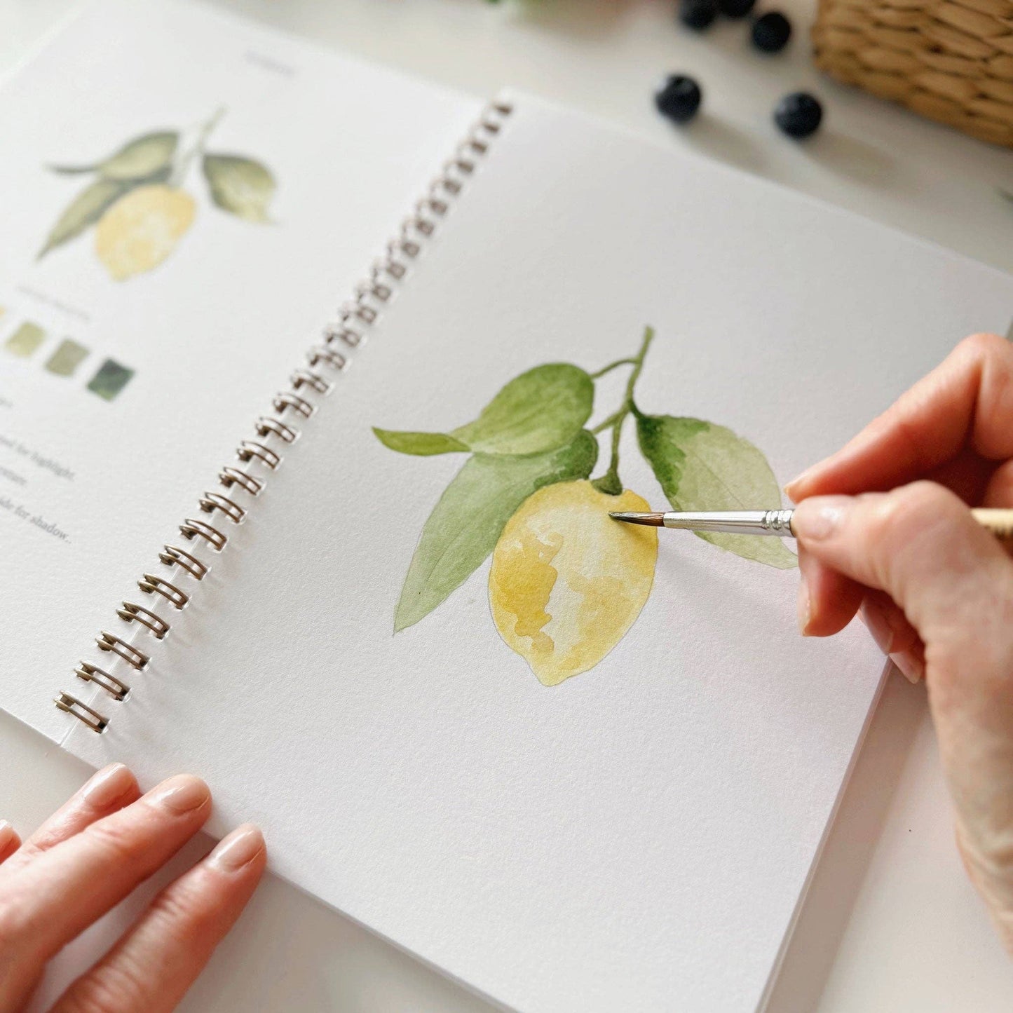 Fruit - Watercolour Workbook