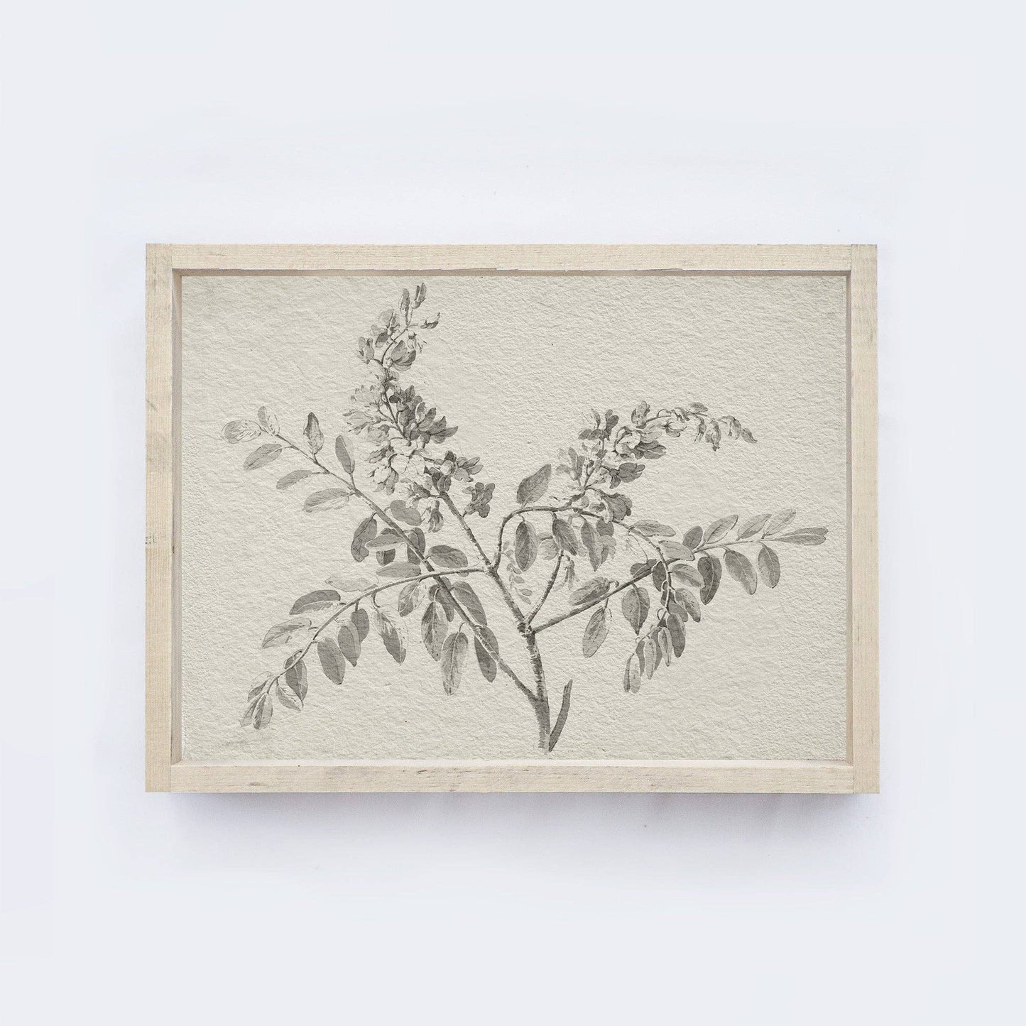 Botanical Watercolour Framed Print