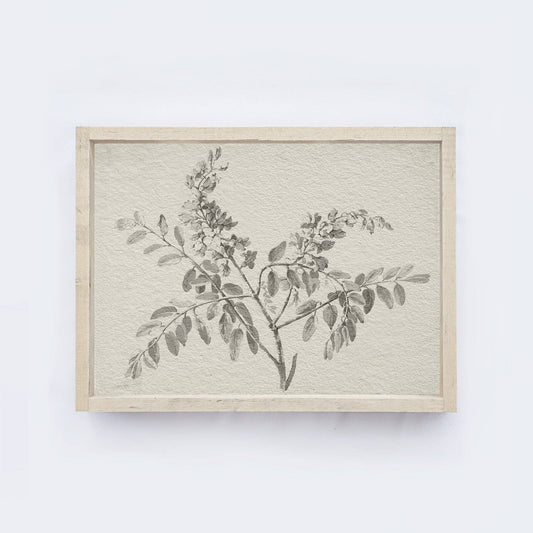 Botanical Watercolour Framed Print
