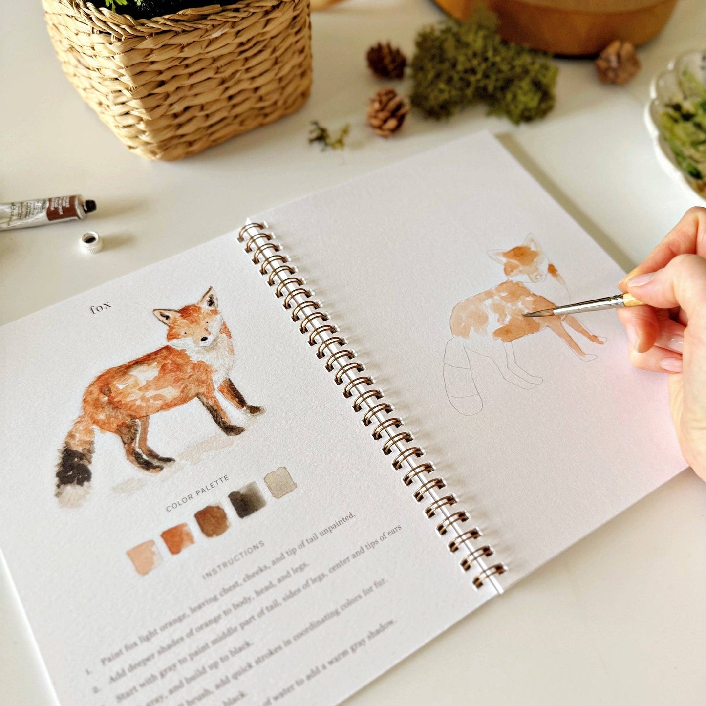 Woodland - Watercolour Workbook