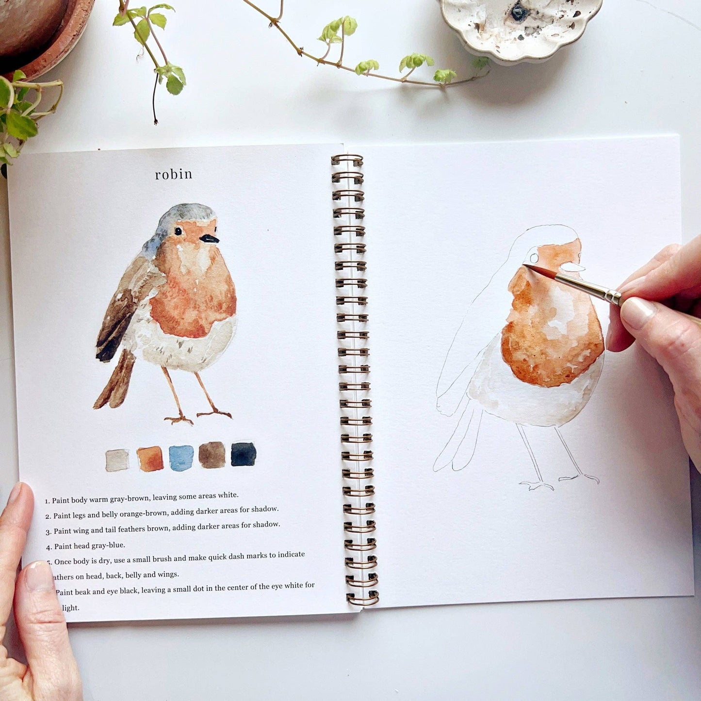 Birds - Watercolour Workbook