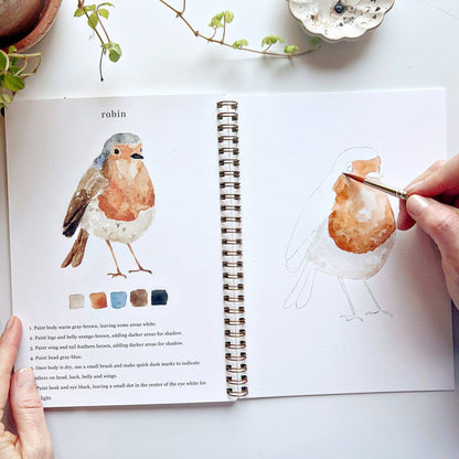Birds - Watercolour Workbook
