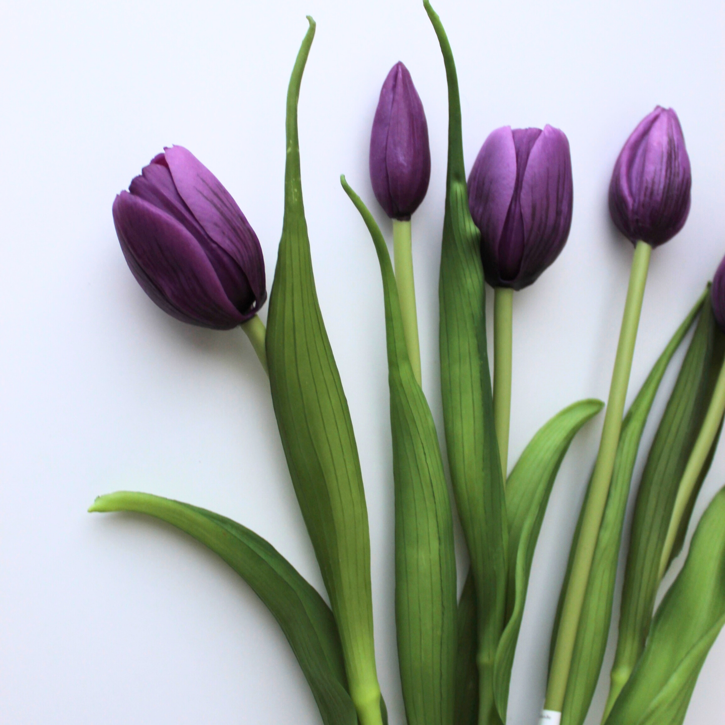 16" Real Touch Dynasty Tulip Bundle