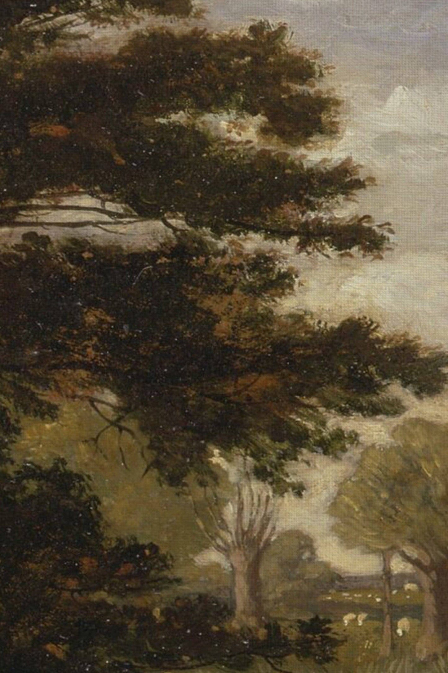 Under The Ancient Tree Canvas Wall