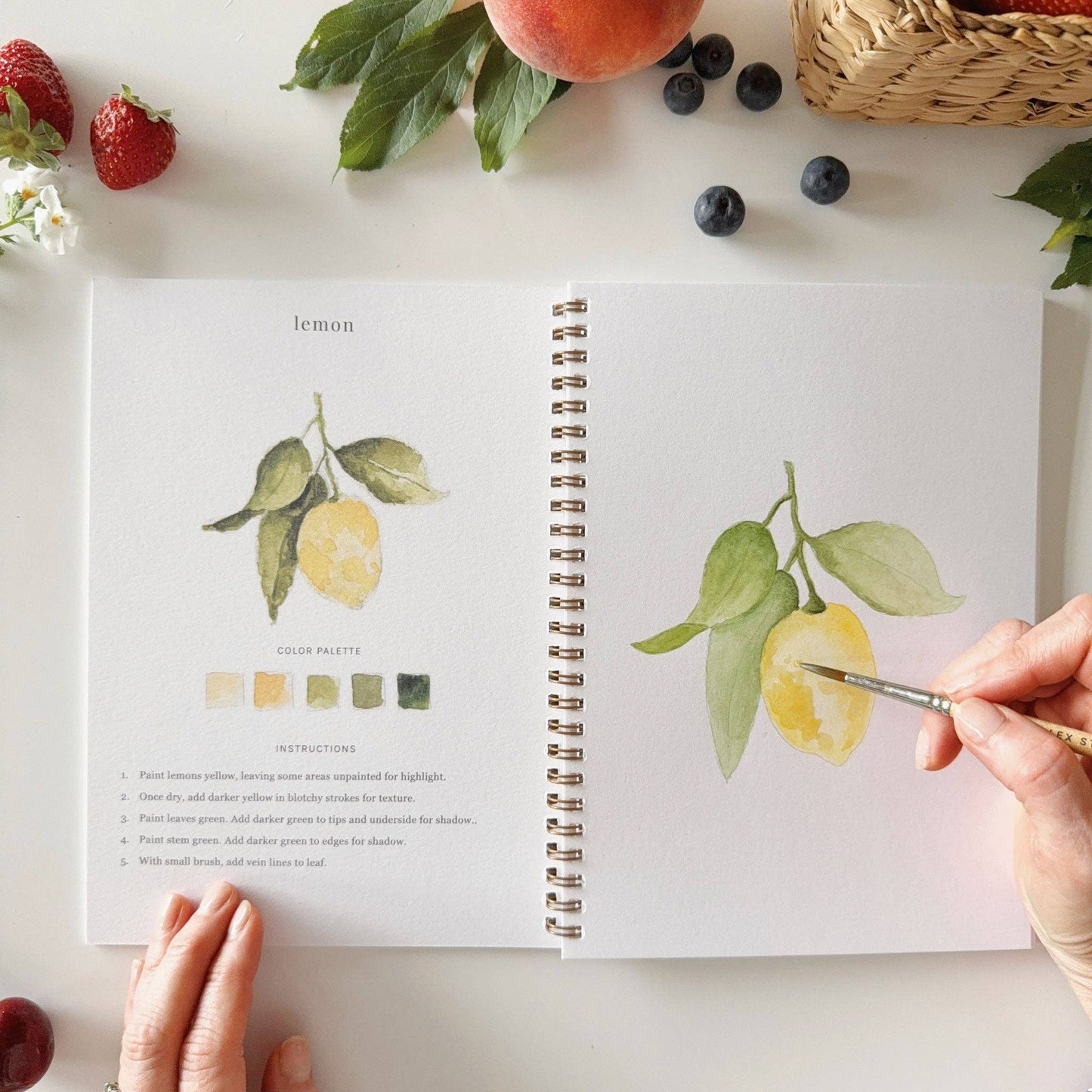 Fruit - Watercolour Workbook