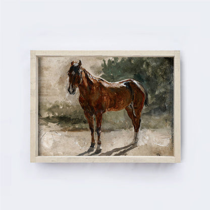 Horse Painting Framed Print