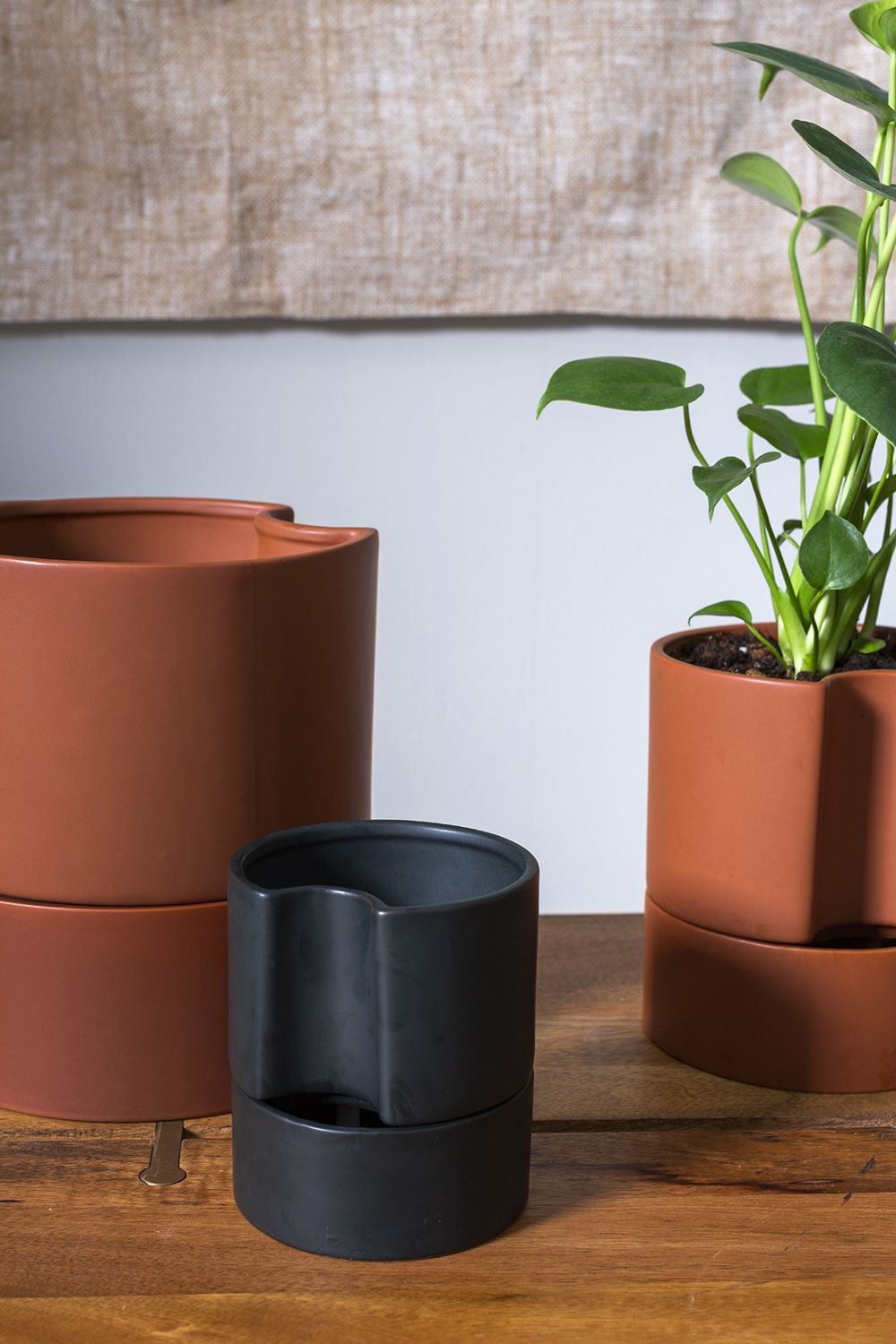 Black Jett Pots