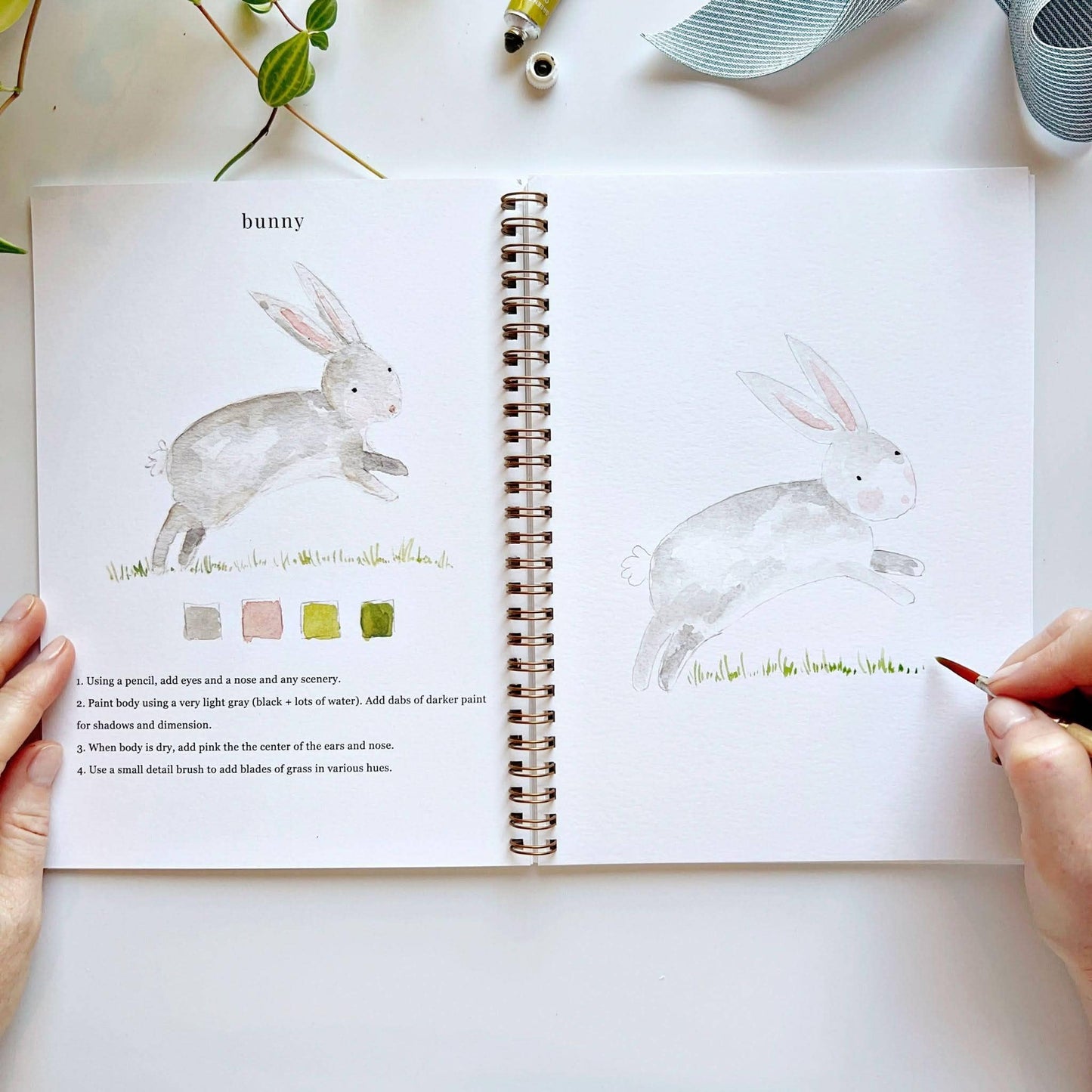Animals - Watercolour Workbook