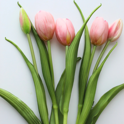16" Real Touch Dynasty Tulip Bundle