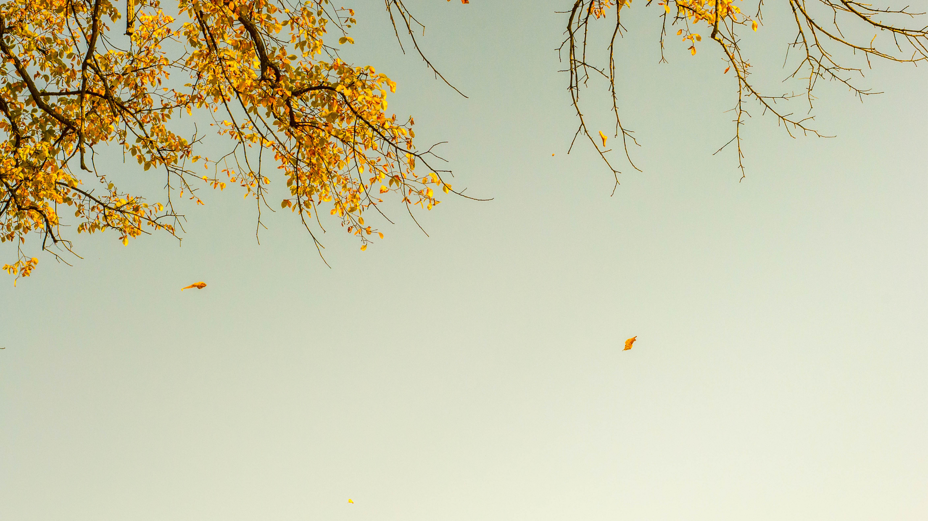slider-img