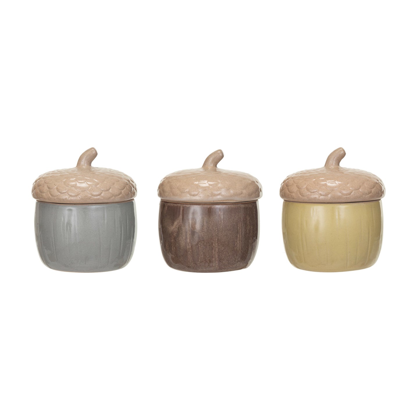 Large Acorn Canisters