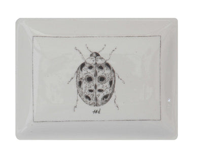 Garden Bug Ceramic Dish