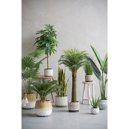 Elsie Planters