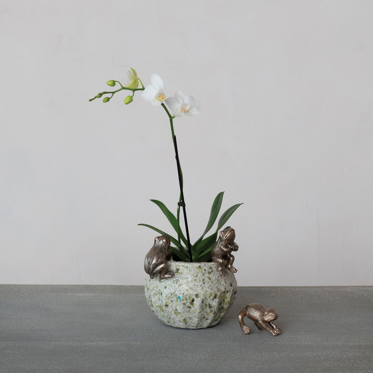 Distressed Gold Finish Frog Pot Hanger