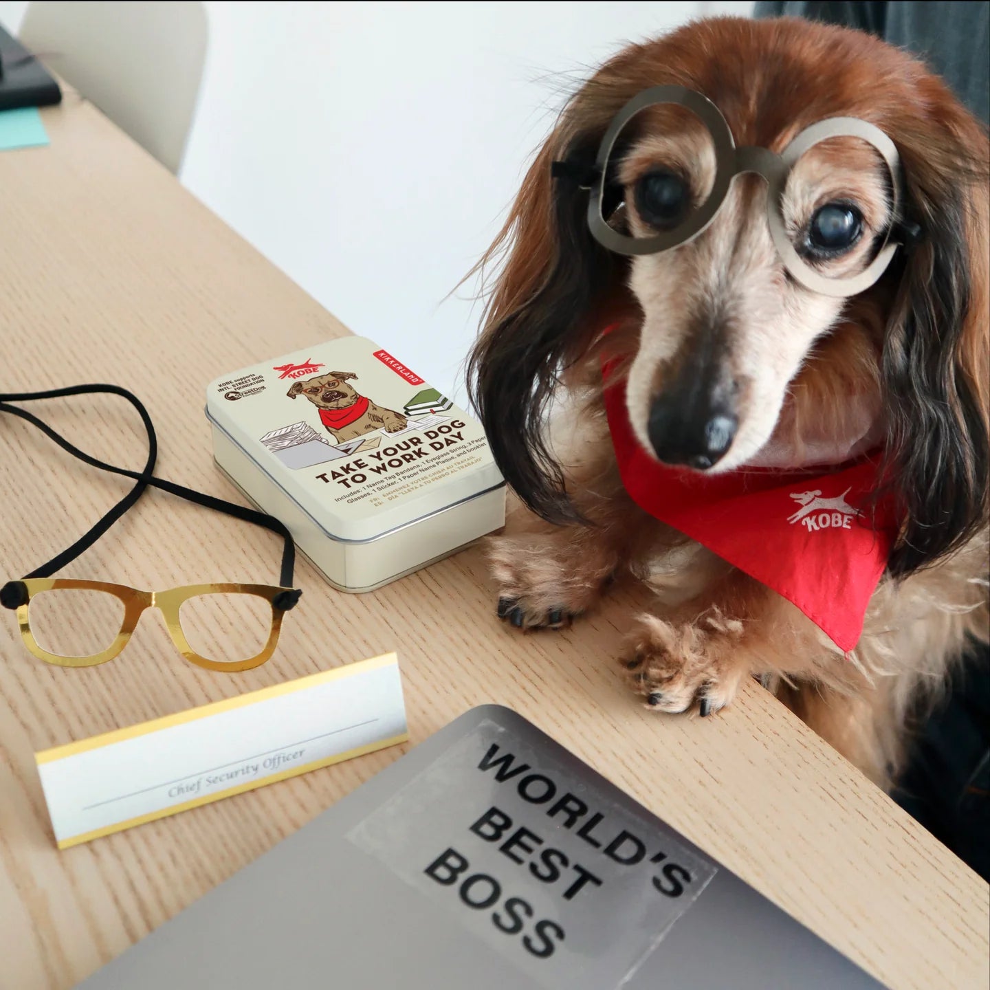 Take Your Dog to Work Day Kit