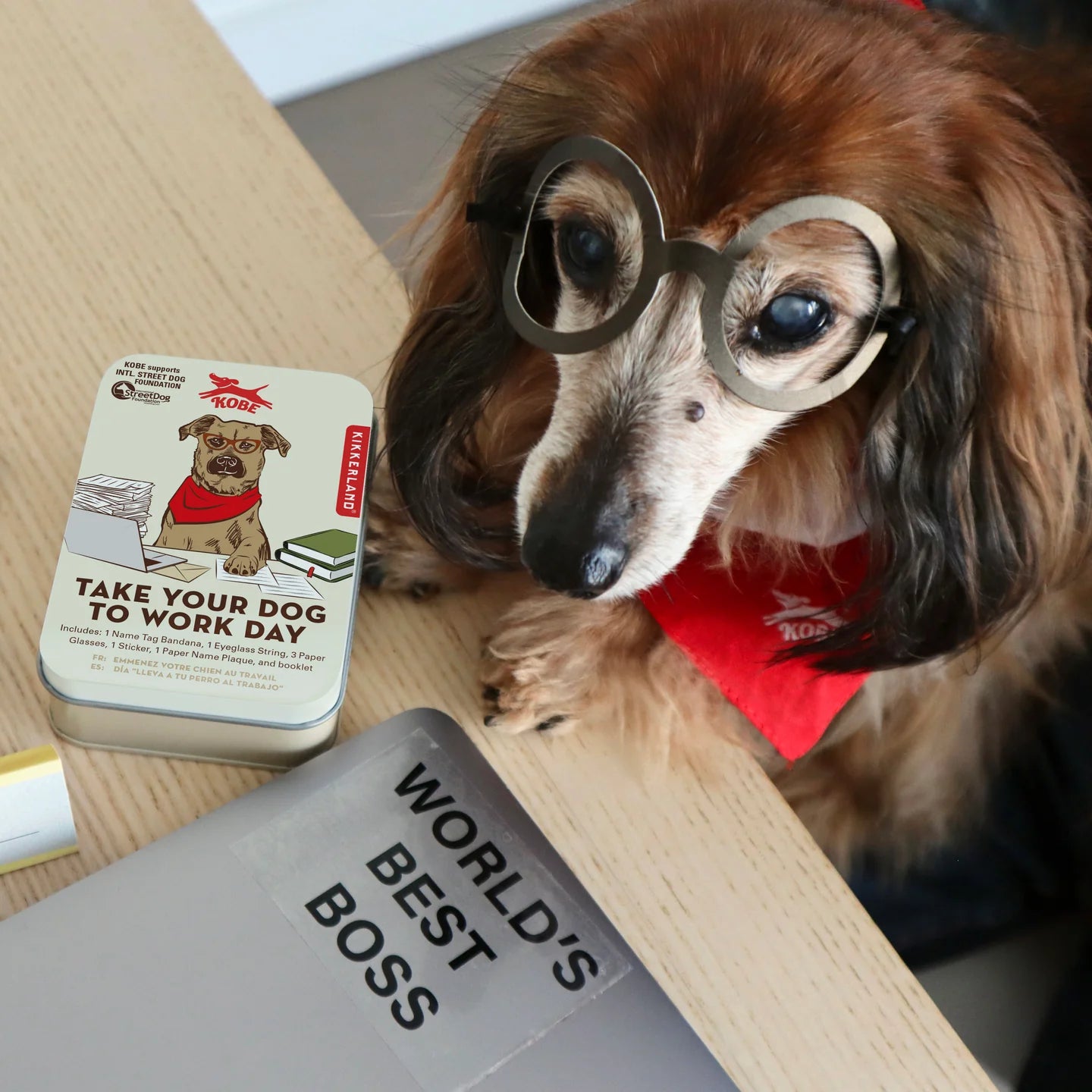 Take Your Dog to Work Day Kit