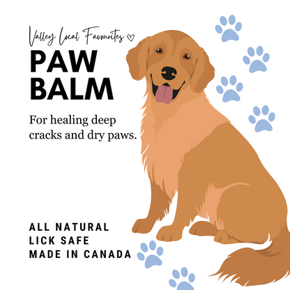 Fast-Healing Paw Balm