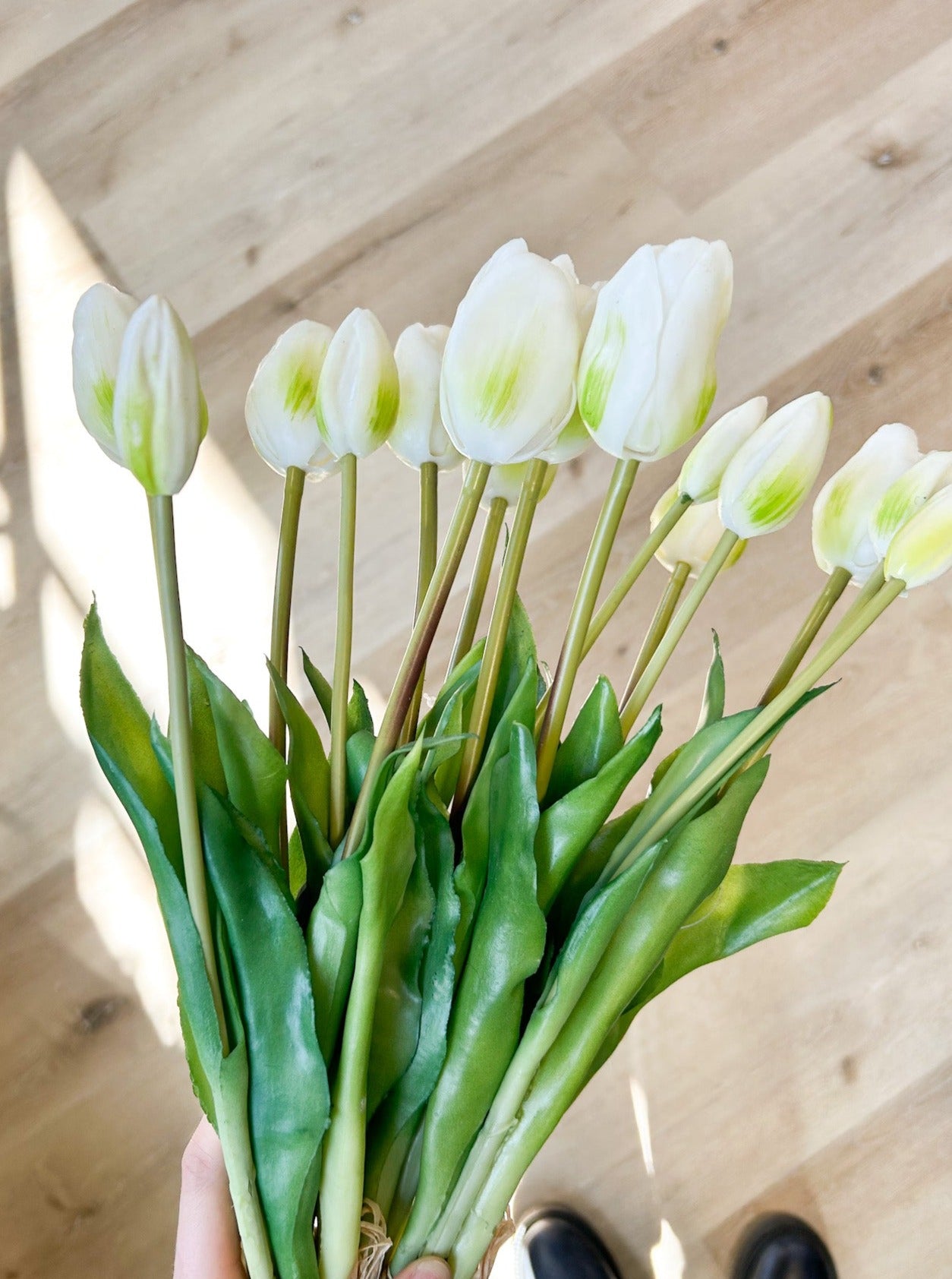 Tulip Bundle