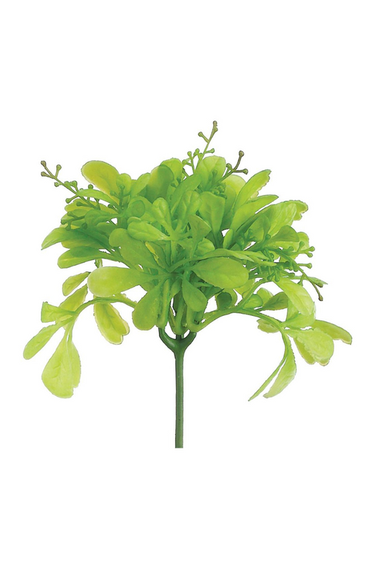 Mini Odorata Leaf Pick