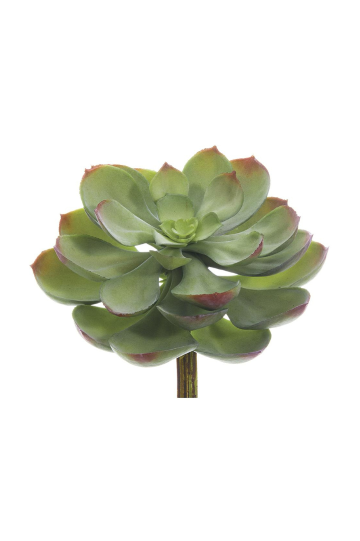 Large Soft Touch Succulent