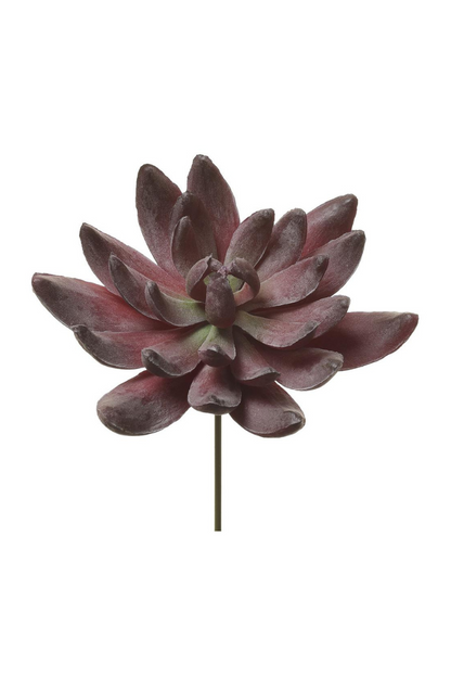 Burgundy Succulent Pick