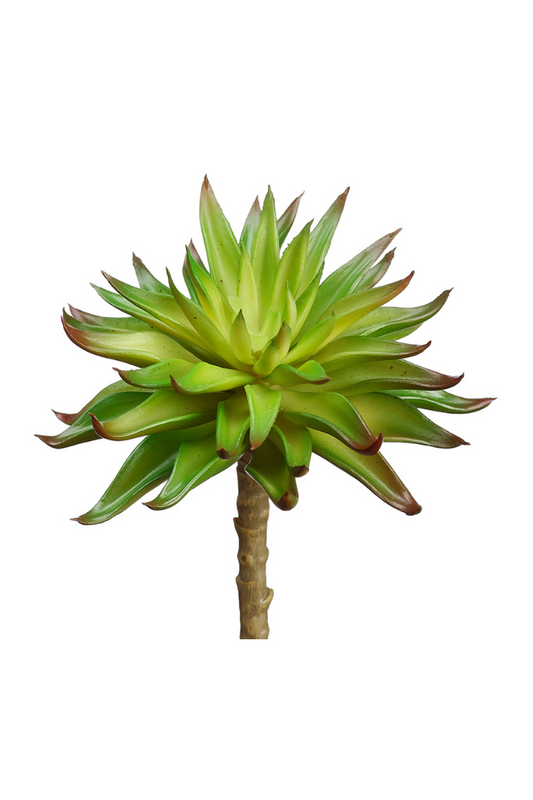Real Touch Aeonium Pick