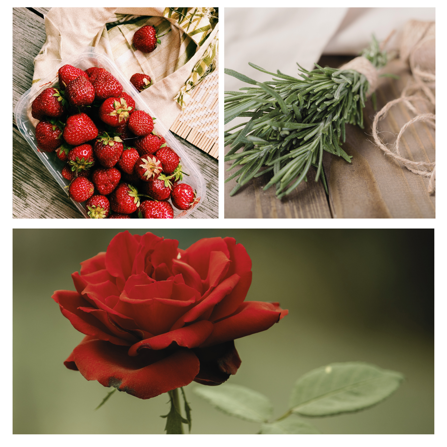 Be Celebrated Holiday Simmer Pot Mix, Stovetop Potpourri