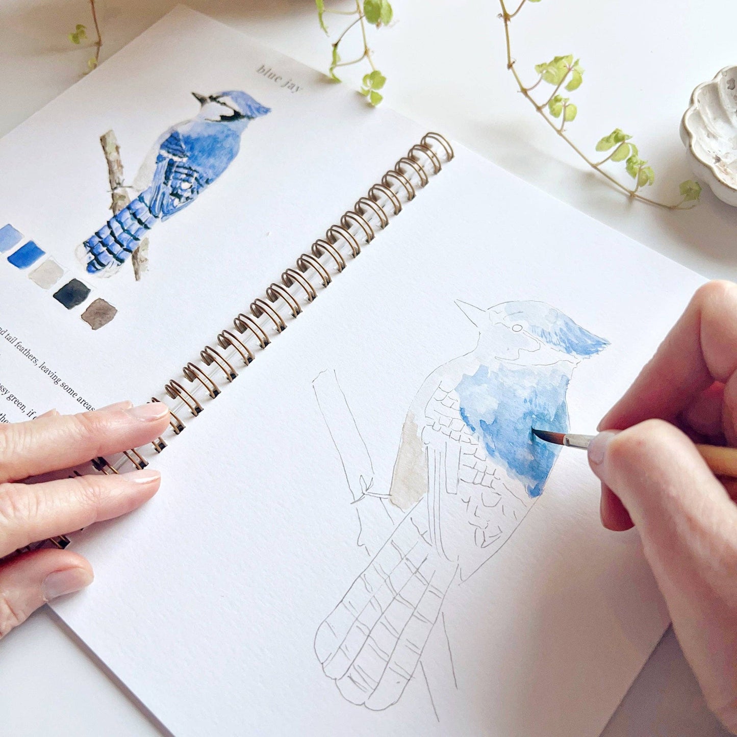 Birds - Watercolour Workbook