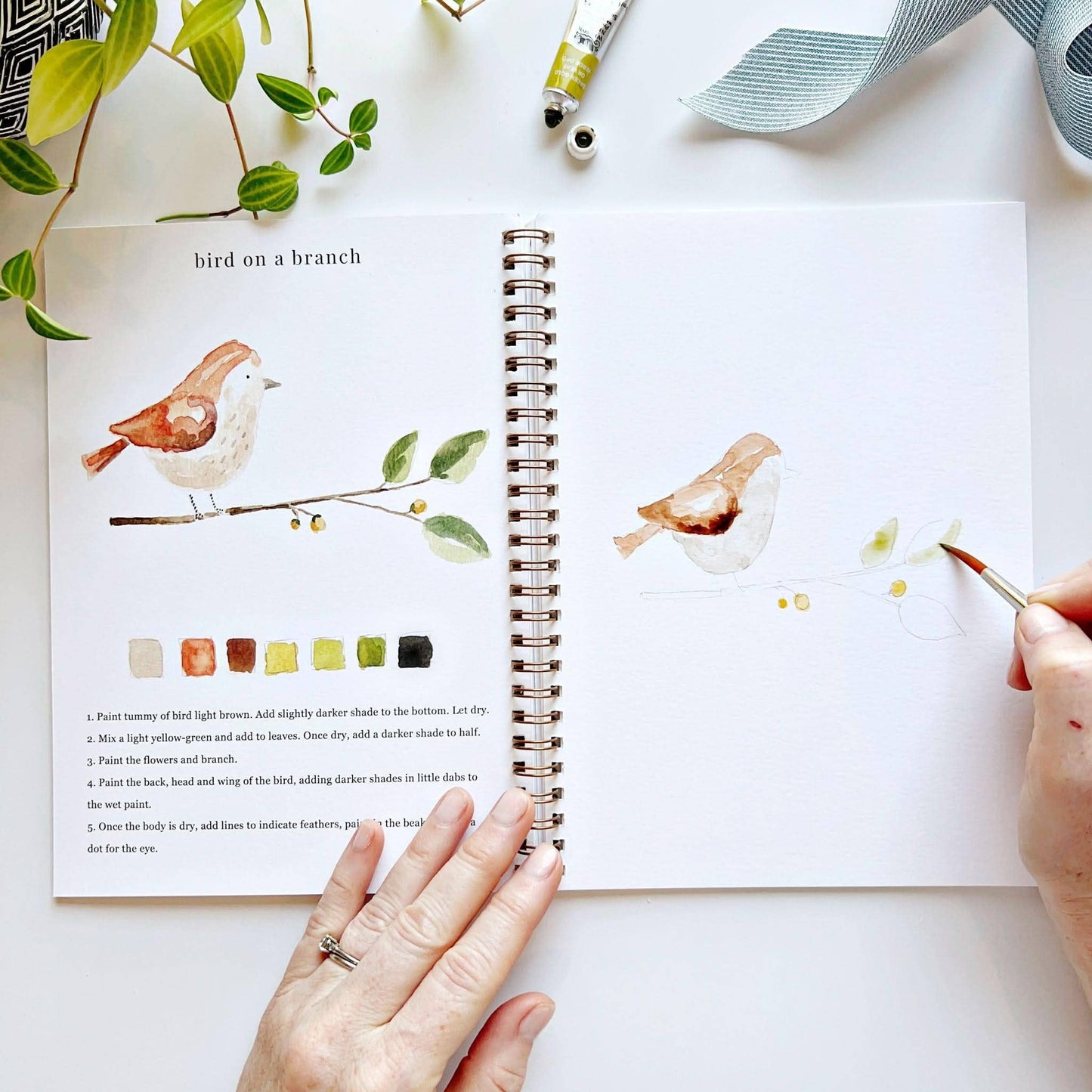 Animals - Watercolour Workbook