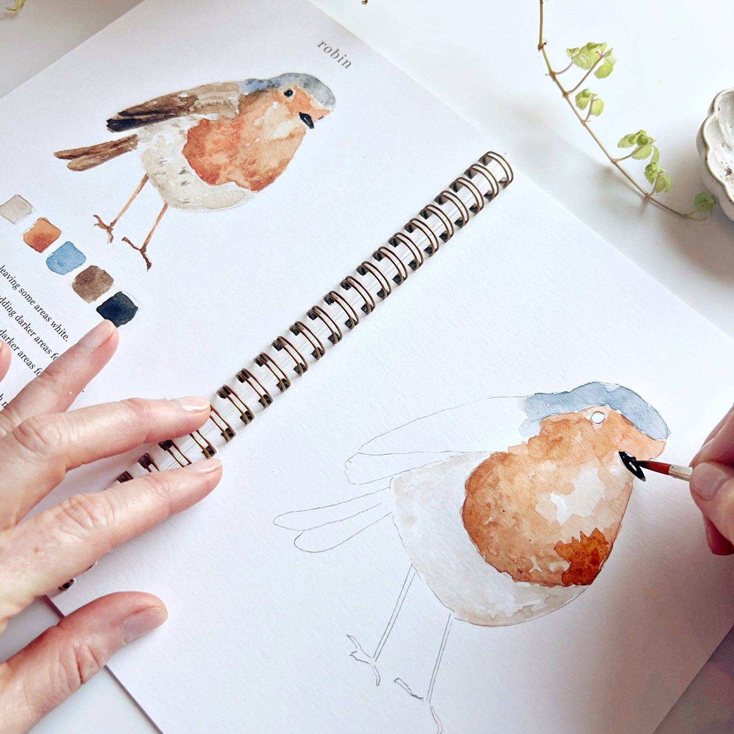 Birds - Watercolour Workbook