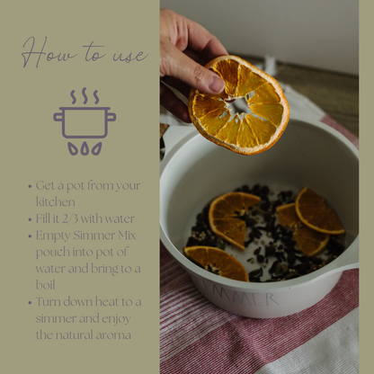 Be Celebrated Holiday Simmer Pot Mix, Stovetop Potpourri