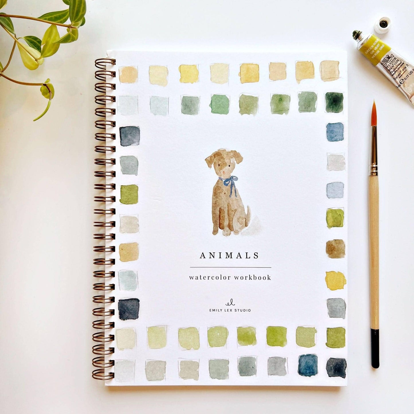 Animals - Watercolour Workbook