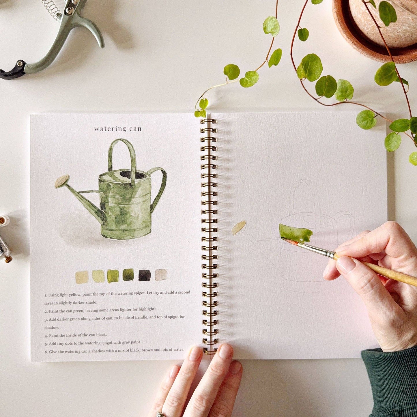 Garden - Watercolour Workbook