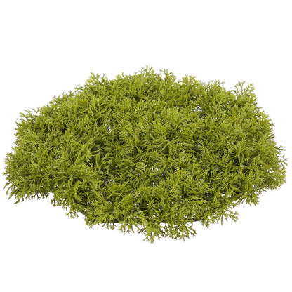 Bright Real Touch Moss Mat