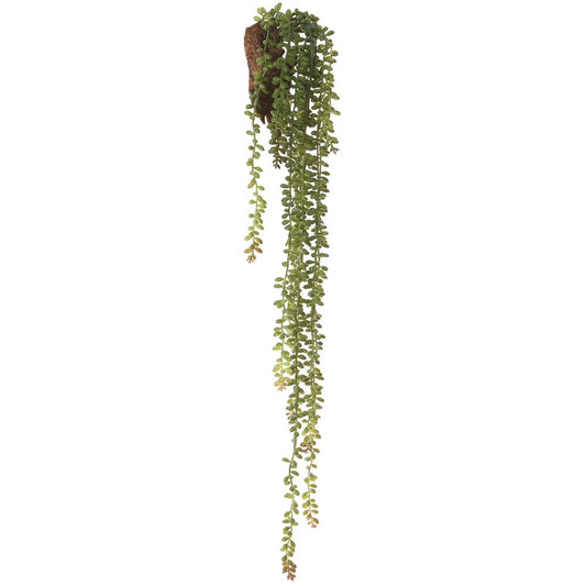 Donkey Tail Hanging Wall Decor