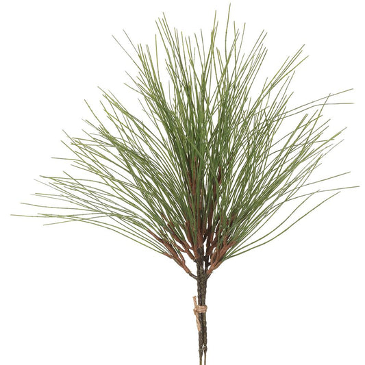 16" Long Needle Pine Bundle