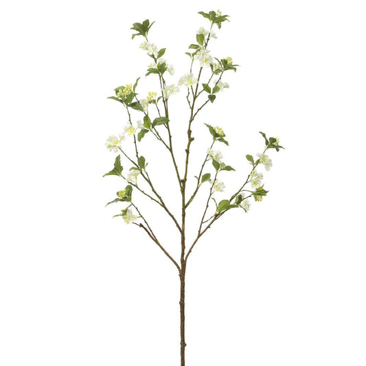 Oversized White Japanese Quince Branch
