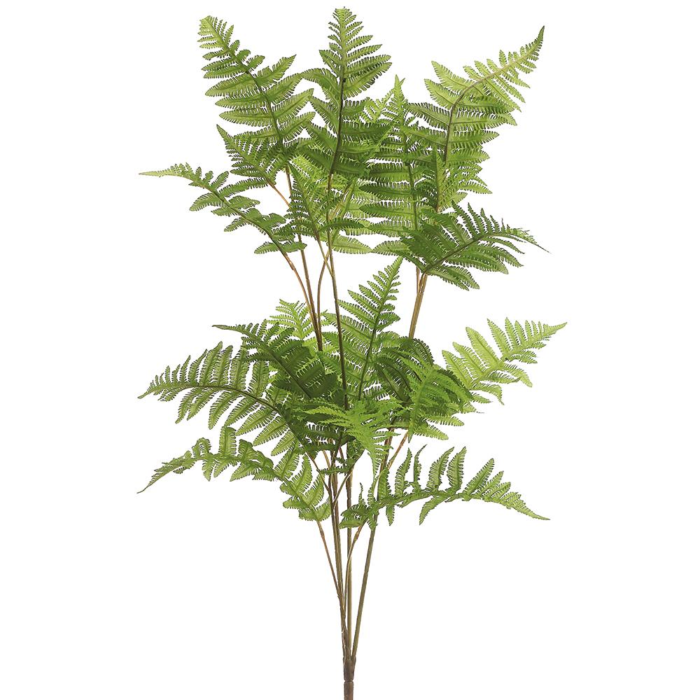 Oversized Forest Fern Bush