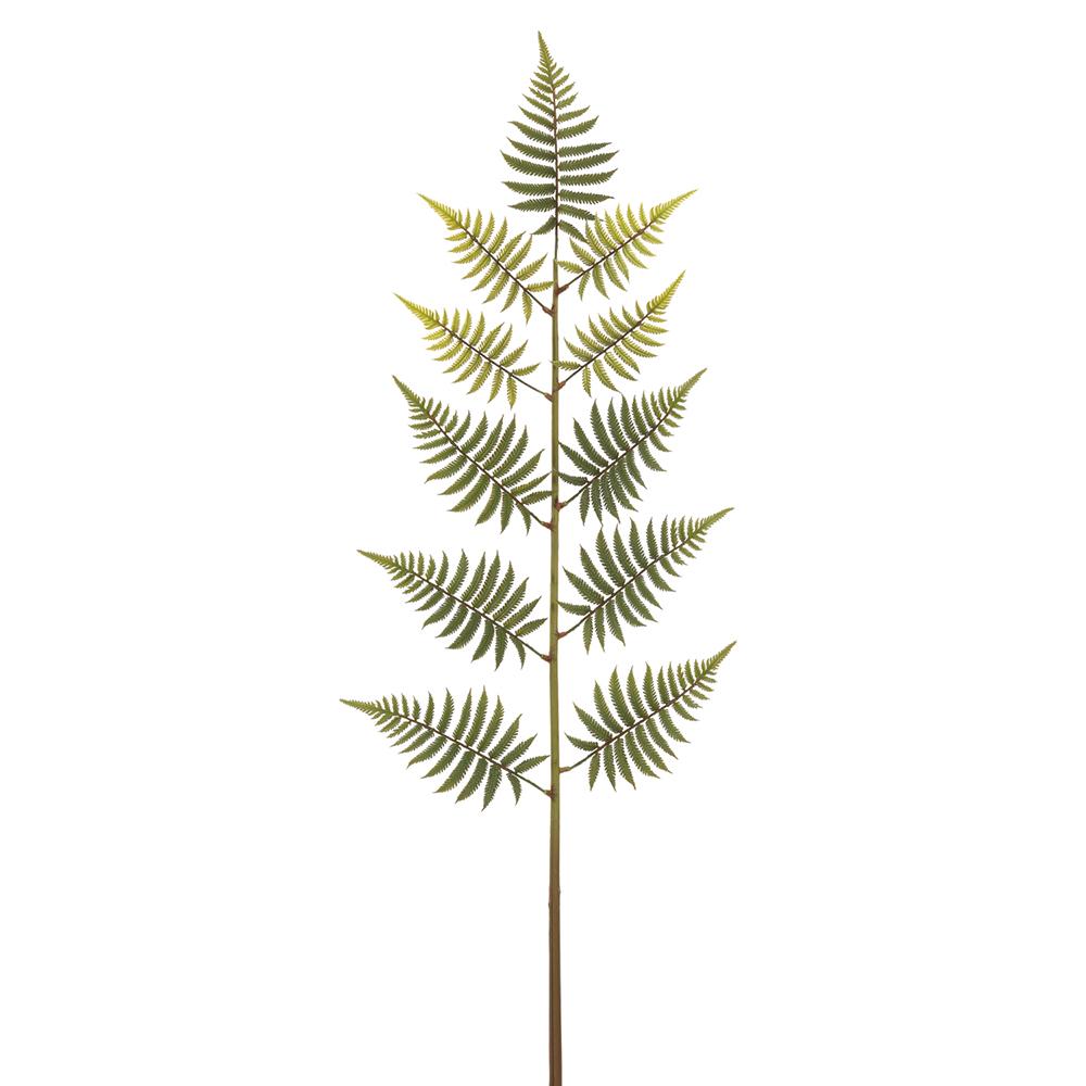 Oversized Fern Branch