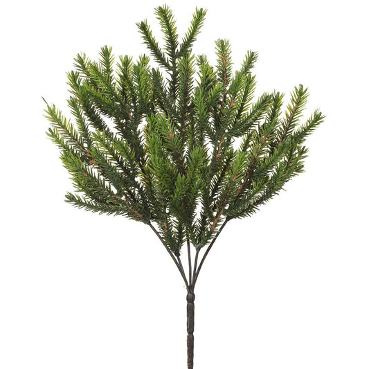 13.5" Hemlock Pine Bush