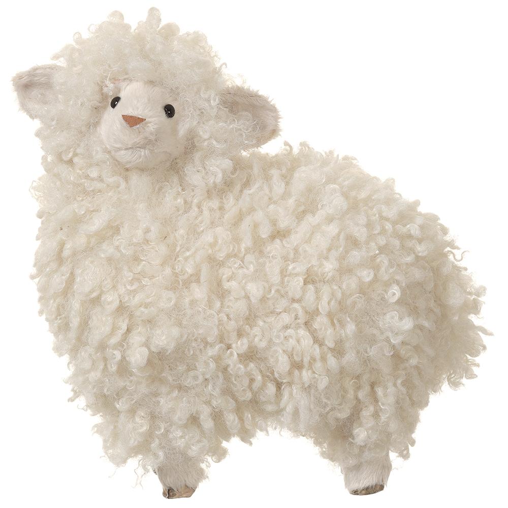 Fluffy Sheep