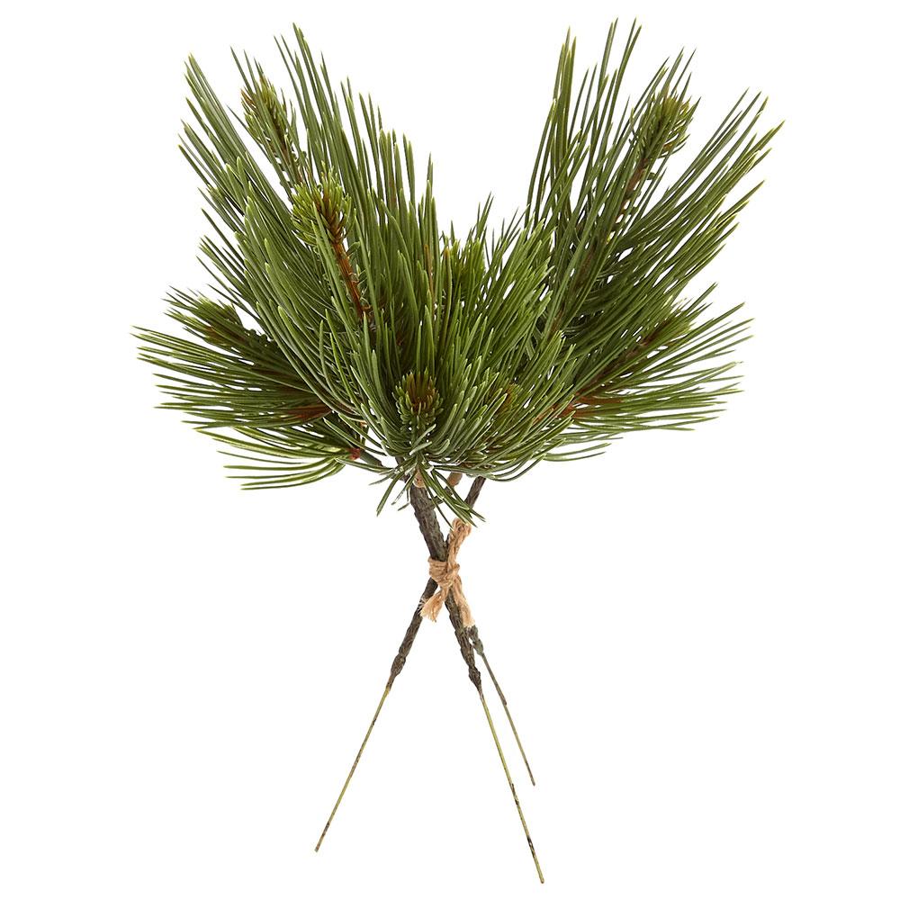 12" Mountain Pine Bundle