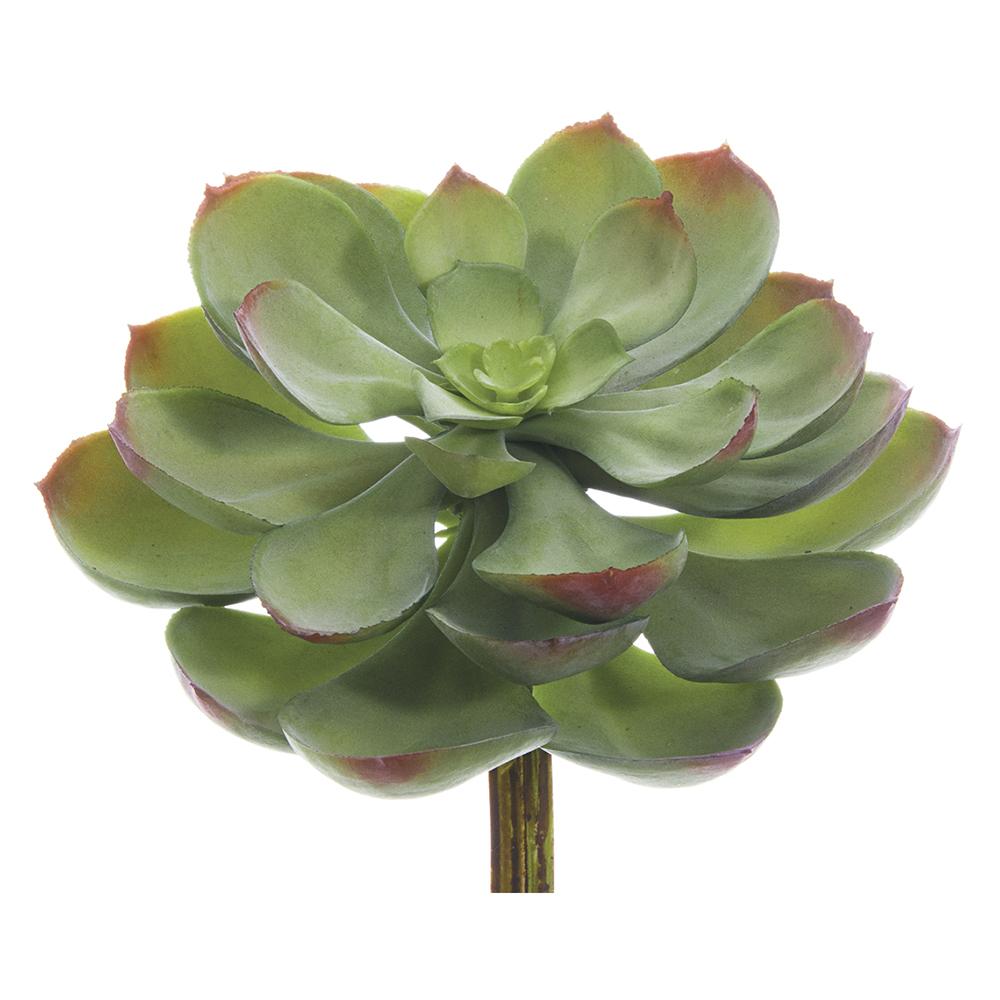 Large Soft Touch Succulent