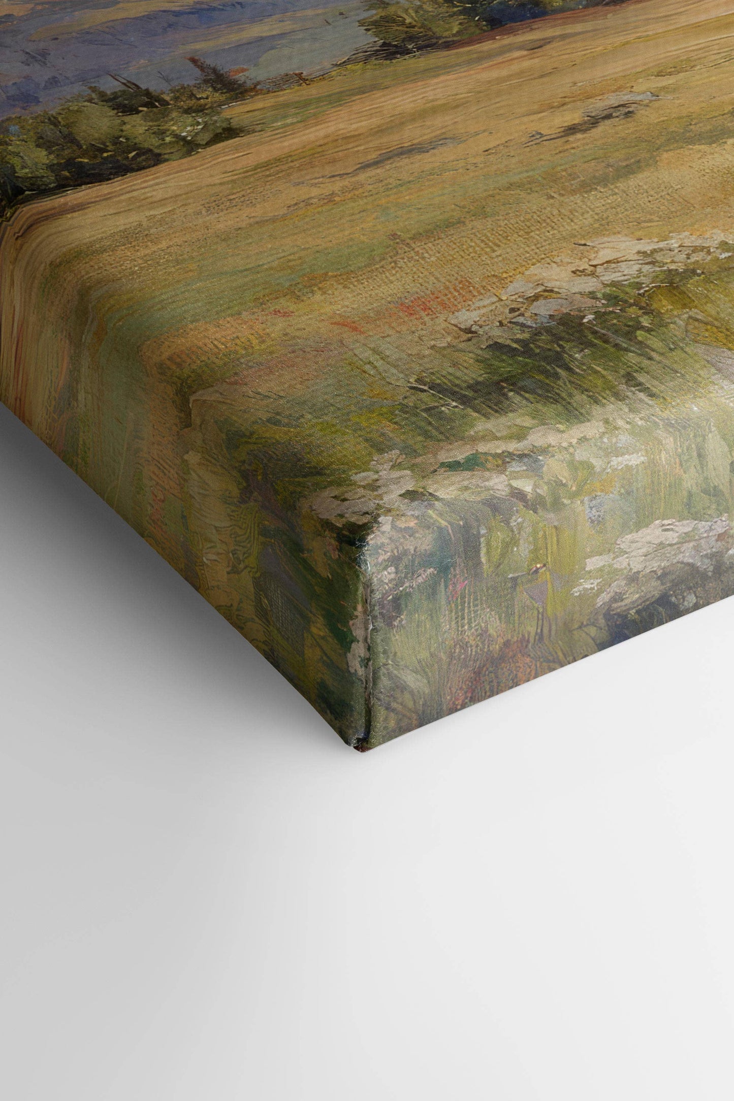 Valley Of Light Canvas Wall Art